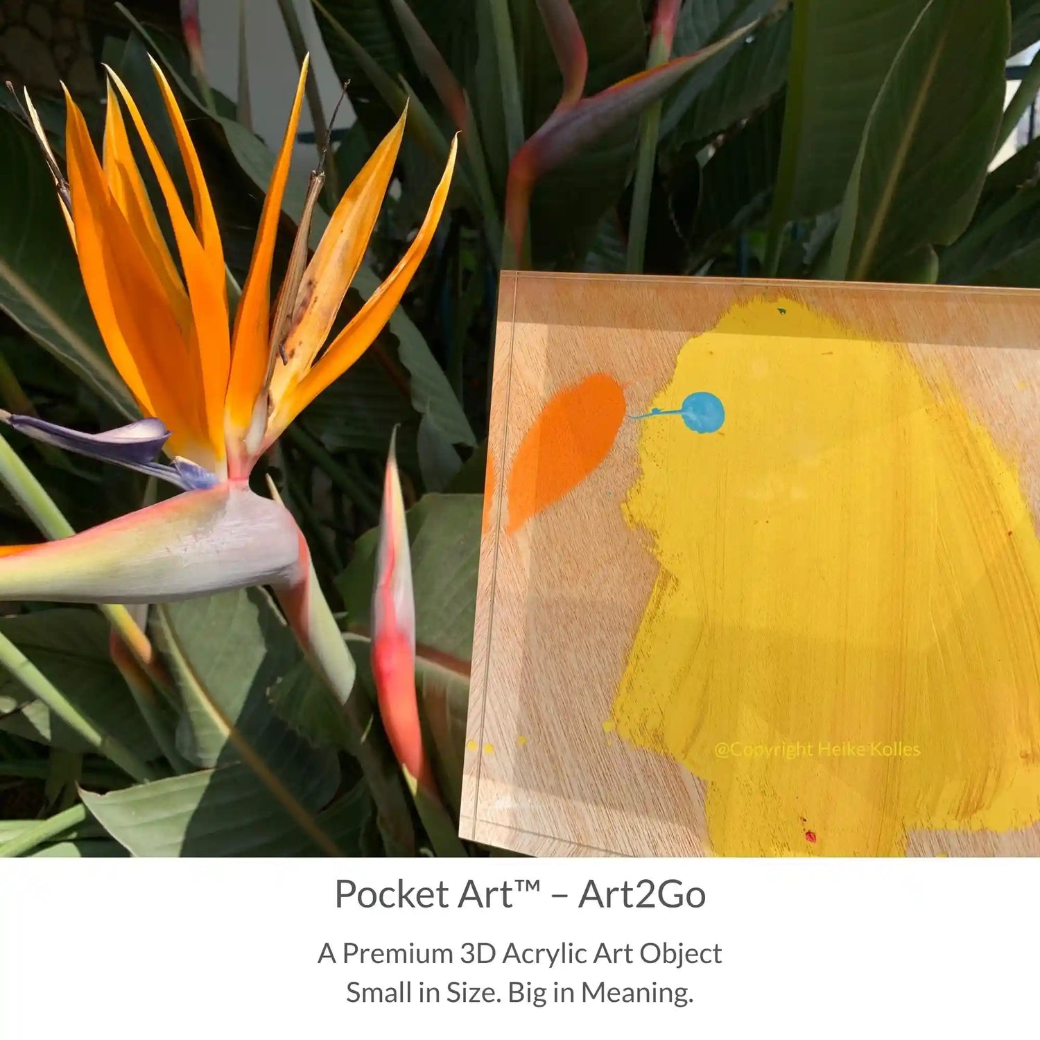 Pocket Art™ – Art2Go | YELLOW PARADISE BIRD